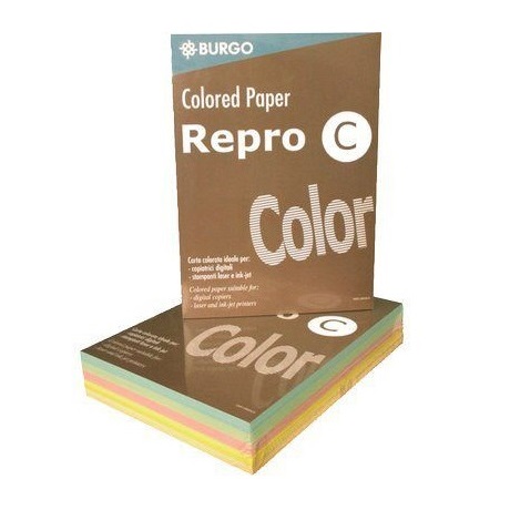 Carta fotocopie colorata tenue Burgo 80gr A4 5 colori